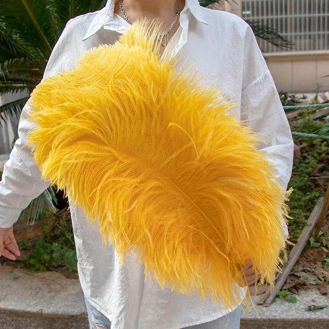 10er Pack Straußenfedern von XQ We Wantice in Goldgelb für DIY Bastelarbeiten, Hochzeitsdekoration und Karneval, Größe: 15-60 cm - Bild 1