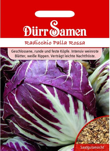 Dürr Radicchio Palla Rossa Saatgut für Freiland und unter Glas, 800 g - Bild 1