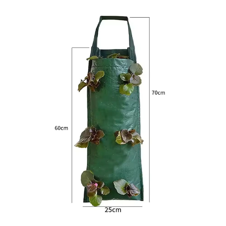 Vertikaler Pflanzbeutel mit 6 Löchern für Erdbeeren und Gemüse, Grün, B/H: 25 x 70 cm - Bild 1