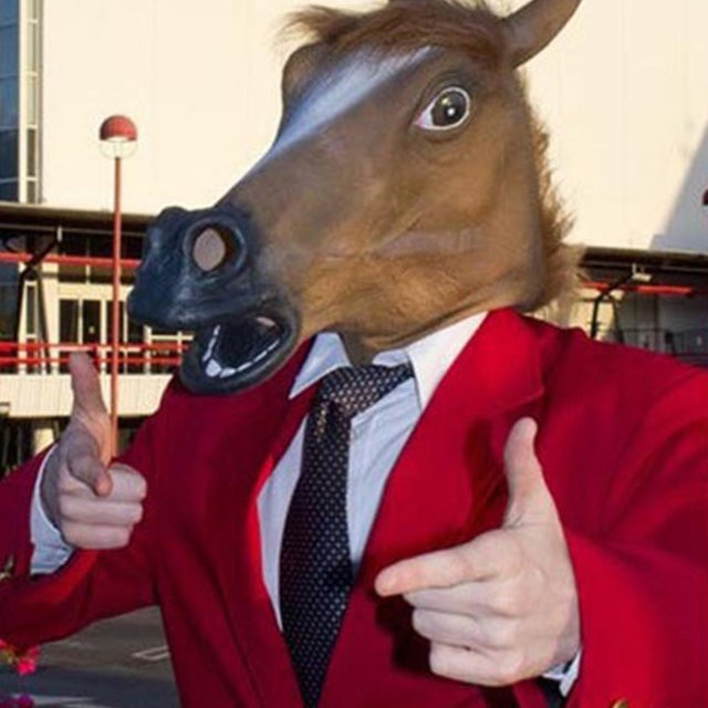 YEAHUI EL Lustige Pferd Kopfbedeckung, Pferd Maske, Unisex, Braun, Tiere - Bild 1