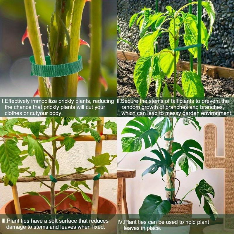 100 Stück Wiederverwendbare Nylon Pflanzenbinder mit Klettverschluss für Garten und Gewächshaus von SZwatch - Bild 7