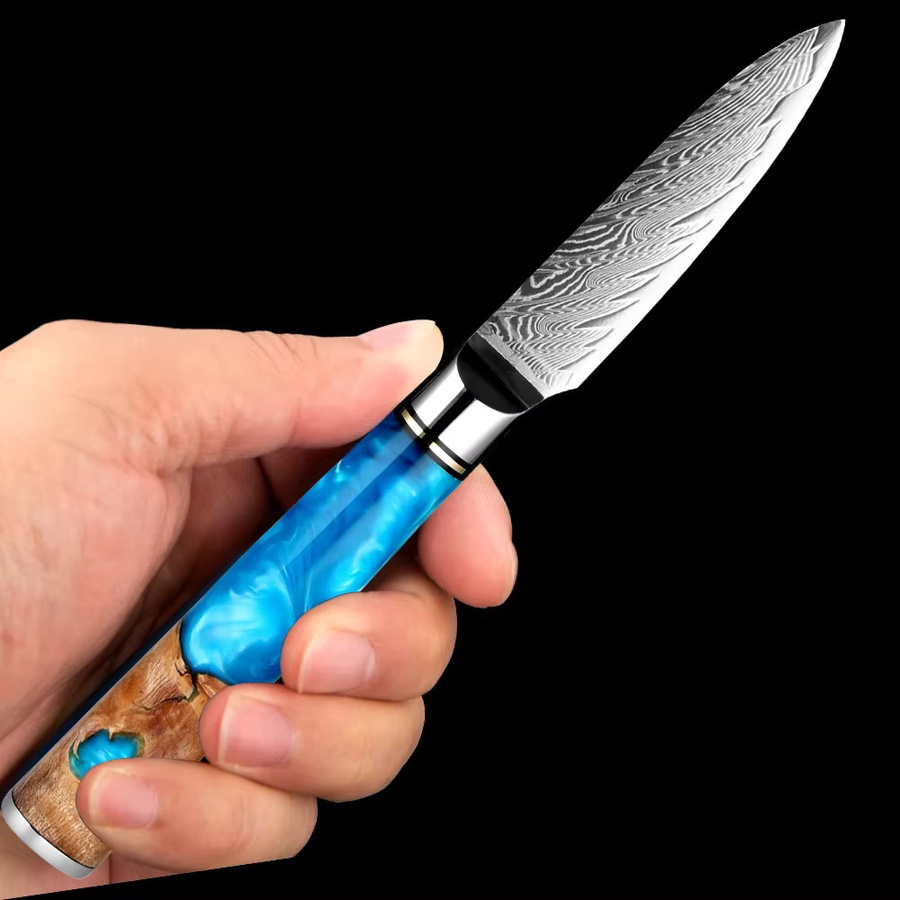 XITUO Schälmesser aus Damaststahl mit blauem Harzholzgriff, 3,5 Zoll Obstmesser mit 67 Lagen - Bild 4