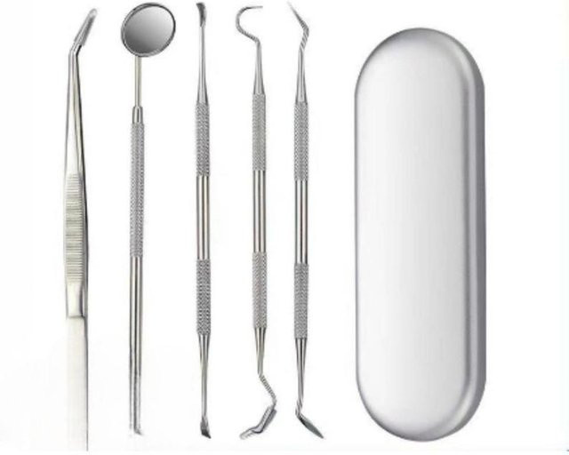 Lanzhong home life Zahnreinigungswerkzeug-Set, 6-teilig, Edelstahl - Bild 1