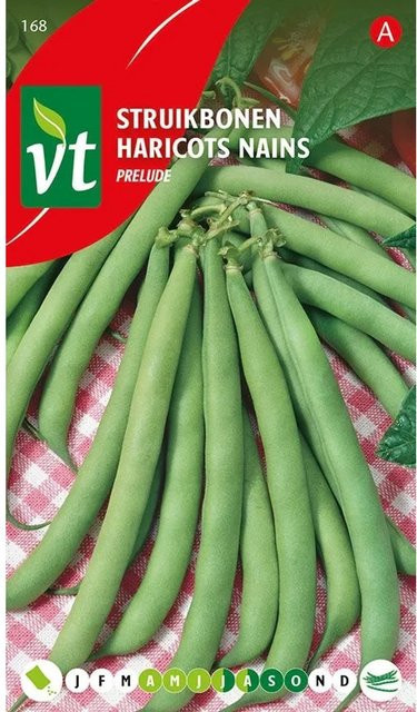 Arborix Grüne Bohne Prelude Saatgut 50 g - Bild 1