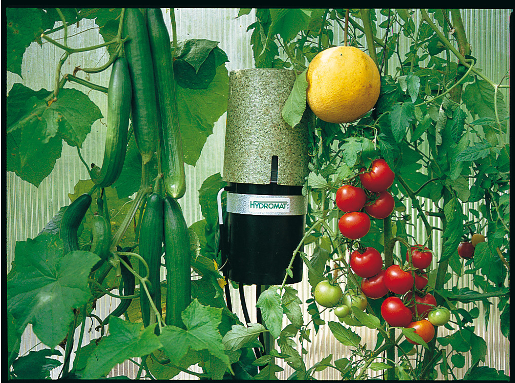 Vitavia Hydromat Automatische Bewässerungsanlage Set in Silberfarben mit 50 Tropfstäben, Thermostat und Verteilerschlauch - Bild 4