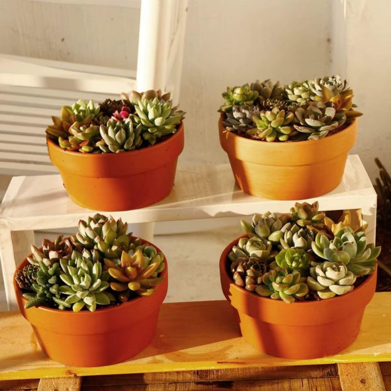 4er Set Terrakotta Blumentöpfe aus Tonkeramik in Braun, B: 11,4 cm, H: 7,6 cm, mit Drainageloch für Kakteen und Sukkulenten - Bild 3