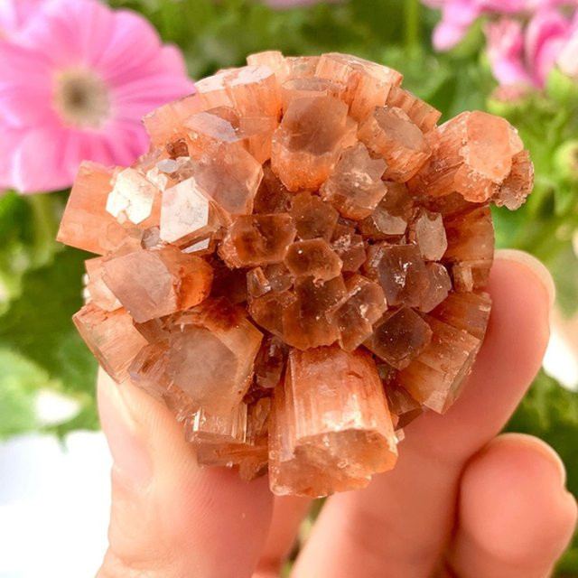 Aragonit-Kristallcluster von CrystalHola als natürliche Mineralprobe und Dekosteine für deine Heimdekoration - Bild 1