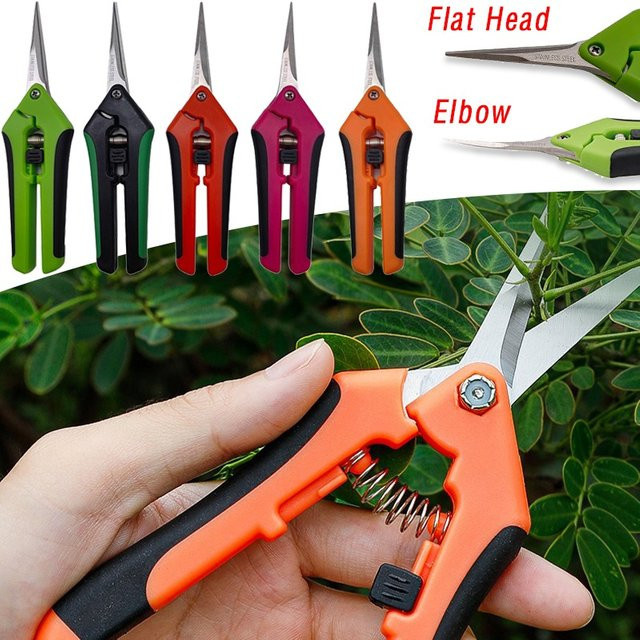 Gartenschere aus Edelstahl in Rot für Blumen, Obst und Weintrauben, erhältlich als gebogene oder gerade Ausführung - Bild 1