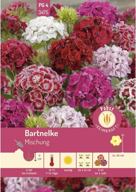 Pabst Keimkraft Bartnelke Mischung Saatgut für Bauerngarten, Beete und Schnittblumen - Bild 1