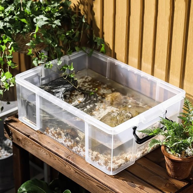 Miflame Schildkröten-Terrarium aus transparentem Kunststoff für Zucht und Transport - Bild 1