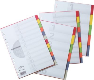 PAGNA Kartonregister mit Deckblatt, 6 Blätter, farbsortiert - Bild 1