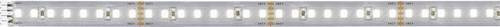 Paulmann MaxLED 1000 LED-Streifen 24 V/DC, Farbe: Weiß, Länge: 1 m, dimmbar und kürzbar - Bild 1