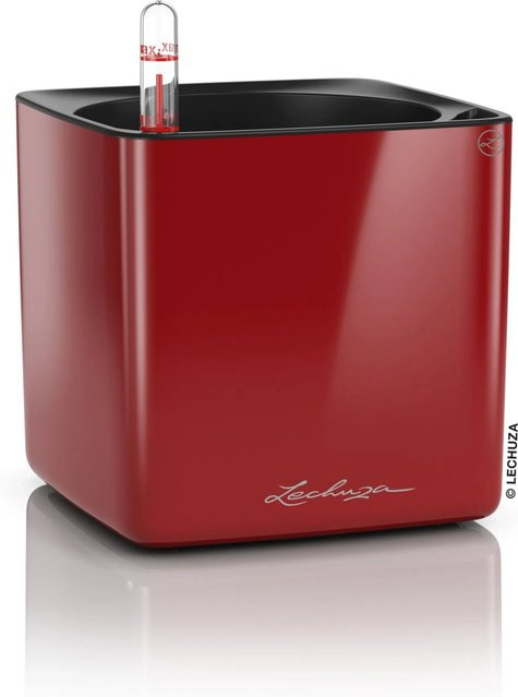 Lechuza Pflanzgefäß Cube Glossy 14 in Scarlet Rot, B/T/H: 14 x 14 x 14 cm - Bild 1