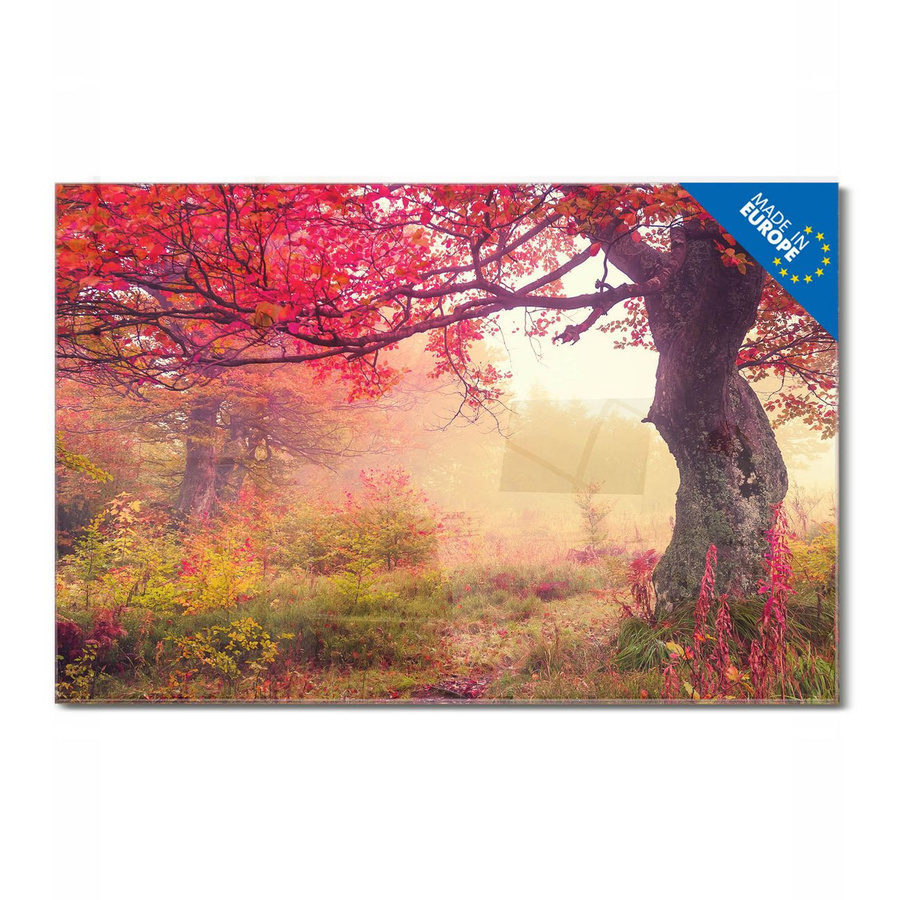 banjado Glas Magnettafel Motiv Lichtung Im Herbst, rahmenlose Magnettafel aus ESG Glas, Querformat, B: 90 cm, H: 60 cm - Bild 1