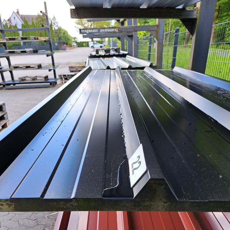 Trapezblech Dach Friedrich von Lien AG Tiefschwarz RAL 9005 Länge: 250 cm - Bild 1