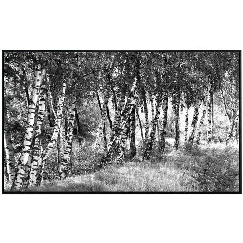 papermoon EcoHeat Infrarotheizung Birkenwald Schwarz Weiss mit Matt-Effekt und App-Steuerung - Bild 2