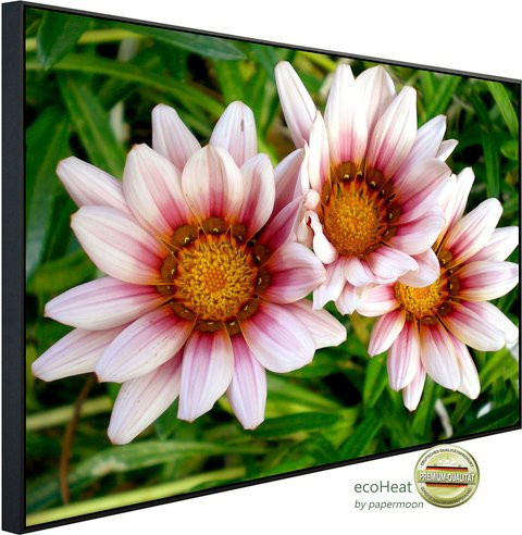 papermoon EcoHeat Infrarotheizung Afrikanische Gazania Blumen, bunt mit Matt-Effekt, App-Steuerung und Überhitzungsschutz - Bild 1