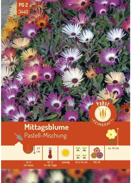Pabst Keimkraft Mittagsblume Pastell-Mischung Saatgut für Beeteinfassungen und Steingärten - Bild 1