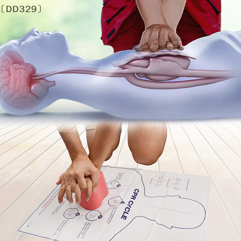 JETTING Mini herzförmiges Erste-Hilfe-Training, Rettungs-Lehrmittel, Körpermedizinischer Dummy, Cpr-Modell für Krankenpflegepuppen, Trainingsmodell - Bild 2
