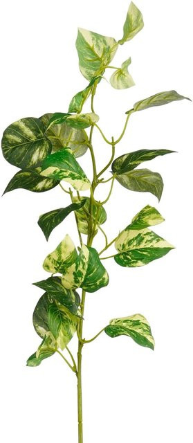 Mica Decorations Pothos Kunstpflanze Grün Höhe: 74 cm - Bild 1