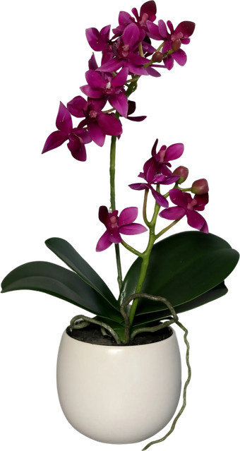 Künstliche Orchidee Elric von Aplanta im Keramiktopf, Höhe: 34 cm - Bild 1