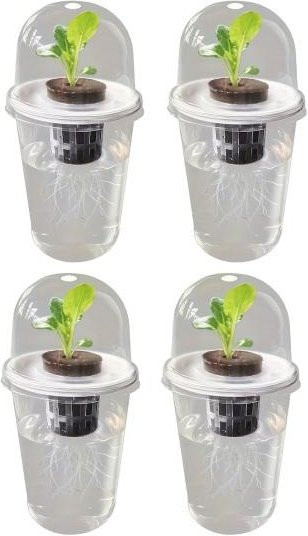 Hello Garden Pflanzenvermehrungsstation Set aus 4 transparenten Kunststoff-Pflanzgefäßen mit Kuppeldeckel für die Hydroponik und Pflanzenkeimung - Bild 1