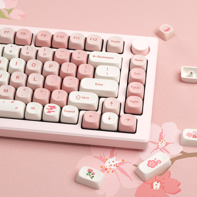 XVX Sakura Tastenkappen-Set mit 143 Tasten in Pink, MOA Profil, Dye-Sub PBT für mechanische Gaming-Tastaturen - Bild 1