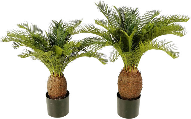 Künstlicher Sagopalmfarn Frieda von artplants in Grün, Höhe: 70 cm - Bild 1
