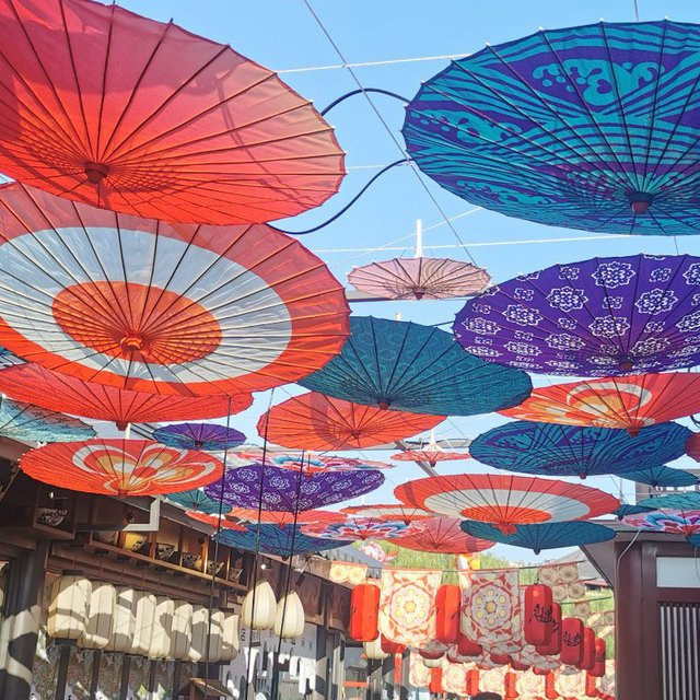 Dekorativer Gufeng Japanischer Ölpapierschirm mit Sakura-Motiv in Mehrfarbig, klassischer Ukiyoshi-Stil als Hänge-Dekoration für Restaurants oder Wohnräume - Bild 1