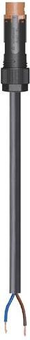 Wieland Electric Anschlussleitung Schwarz 46.423.6038.4 - Bild 1