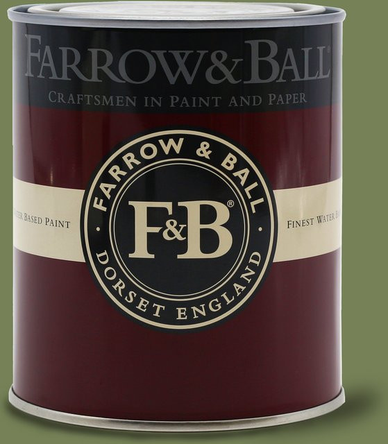 Farrow & Ball Exterior Eggshell Wandfarbe Sap Green 199, 0,75 l - Bild 1