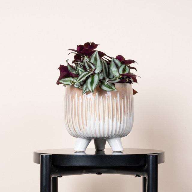 Keramik Übertopf BLUME2000 Tabletop in Rosa-Weiß, Höhe: 14,0 cm, Breite: 14,0 cm, Tiefe: 11,5 cm - Bild 1