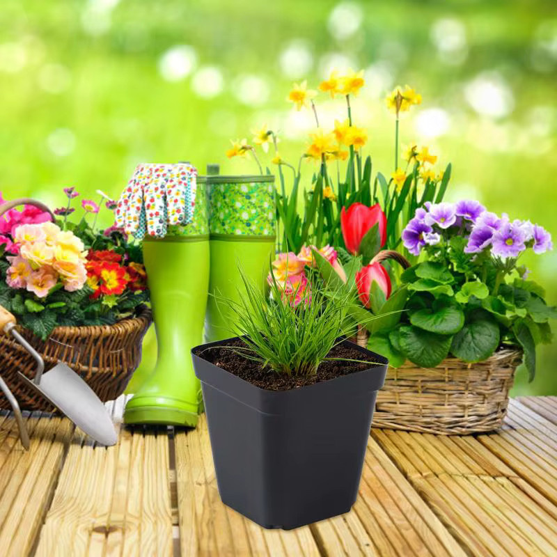 50 Stück quadratische Sämlingstöpfe aus Kunststoff in Schwarz, Pflanzbecher für den Garten - Bild 6