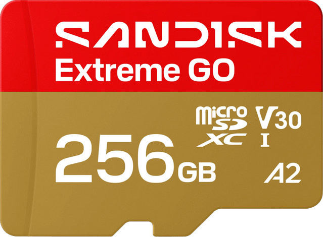 SanDisk Extreme GO microSDXC Speicherkarte 256 GB Multicolor - Bild 1