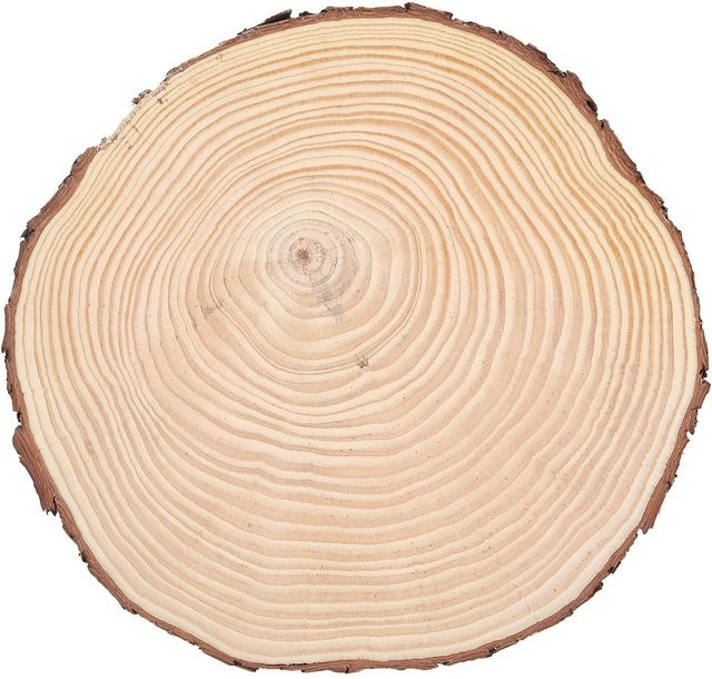 Natürliche Holzscheiben mit Rinde in Beige, unfertige Holzkreise für rustikale Dekoration, Breite: 22,5 cm, Höhe: 23 cm - Bild 1