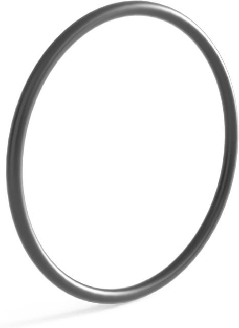 SunSun Ersatzteil O-Ring Cuv-172 für Teichfilter und UVC-Filter in Schwarz - Bild 1