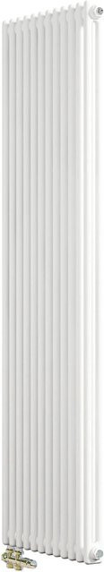 AICA Traditioneller Heizkörper im Gusseisenstil aus Stahl, 2 Spalten, Weiß, Höhe: 180 cm, Breite: 56 cm - Bild 1
