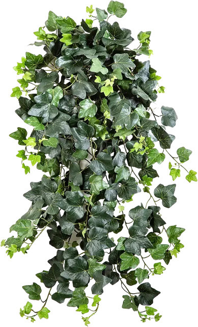 Künstlicher Efeu Emma von Aplanta, grün, Höhe: 75 cm - Bild 1