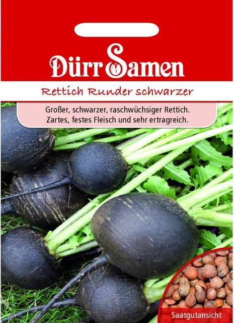 Dürr Winterrettich Runder Schwarzer Samen Saatgut 500 g - Bild 1