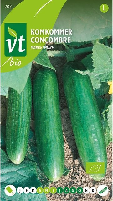 Salatgurke Marketmore Bio Saatgut arborix 1 g Ertragreich - Bild 1