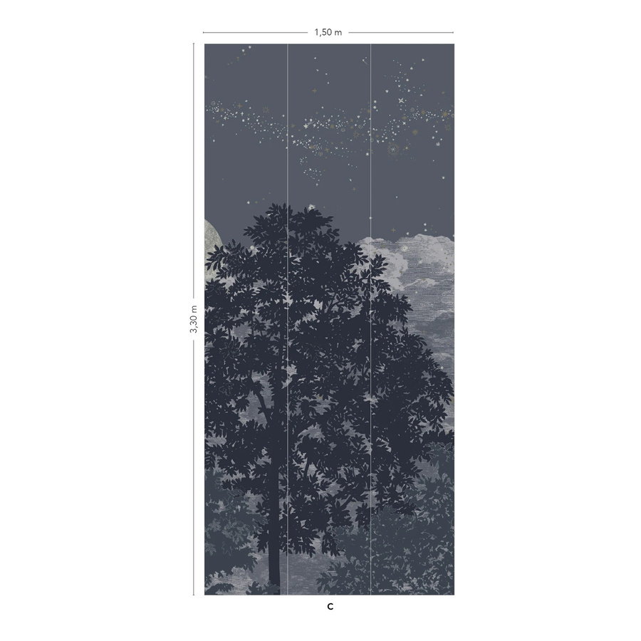 Isidore Leroy Mural Eclipse Clair Obscur Wandgestaltung Panel C in Blau - Bild 2