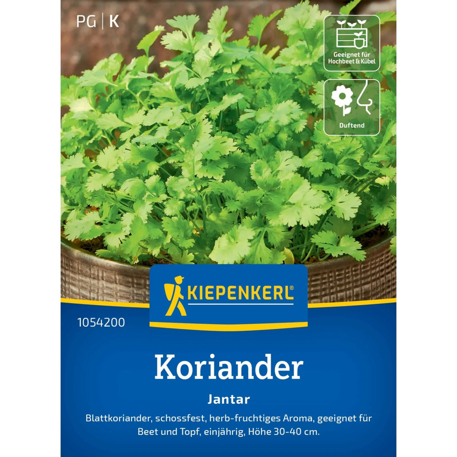 Kiepenkerl Profi-Line Koriander Jantar Gewürzkraut Samen - Bild 2