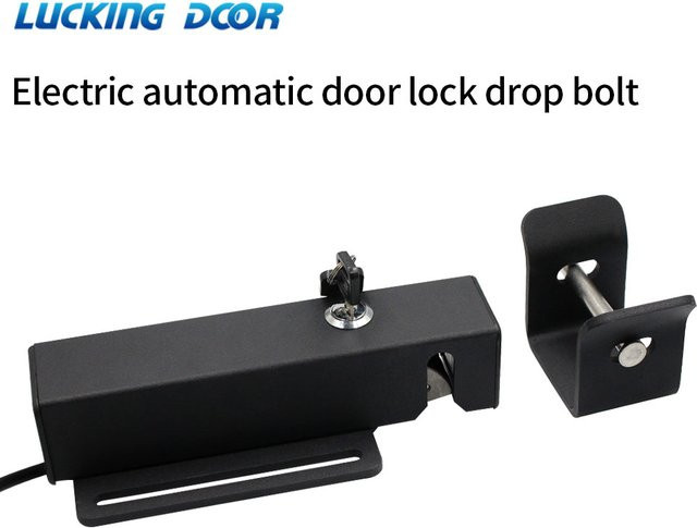 LUCKING DOOR Wasserdichtes elektronisches automatisches DC 24V Türschloss mit Riegel und Schlüssel für automatisches Drehtor und Außenbereich - Bild 1