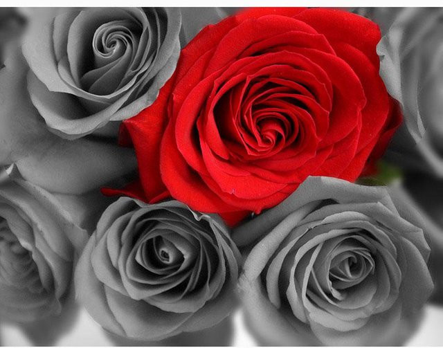 FIYO Diamantstickerei Rose DIY Diamantmalerei mit runden Steinen, Farbe: Rot, Breite: 30 cm, Höhe: 20 cm - Bild 1