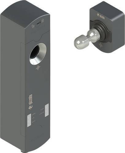 Pizzato Elettrica Sicherheitsschalter NS D4AZ1SMK-F41 in Grau mit 24 V/DC, B/H/T: 40 x 174 x 46,5 mm - Bild 1