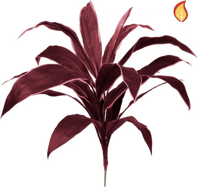 Künstliche Cordyline Andrea von Aplanta, Grün, Höhe: 62 cm - Bild 1