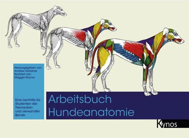 Arbeitsbuch Hundeanatomie, Sachbuch - Bild 1