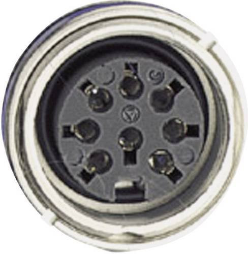Amphenol C091 31N003 100 2 Rundstecker Buchse Einbau aus Metall in Grau - Bild 1