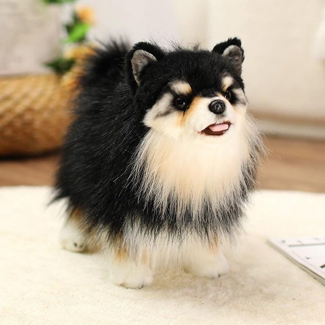 Chihuahua Plüschtier, Welpe, Stofftier, 35cm - Bild 1