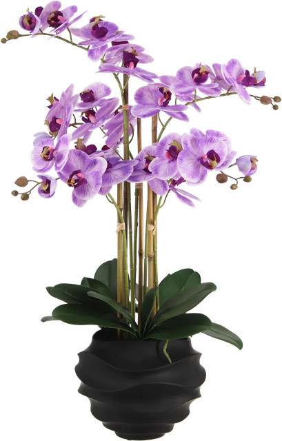 Künstliche Orchidee Lien von Aplanta, Höhe: 67 cm - Bild 1